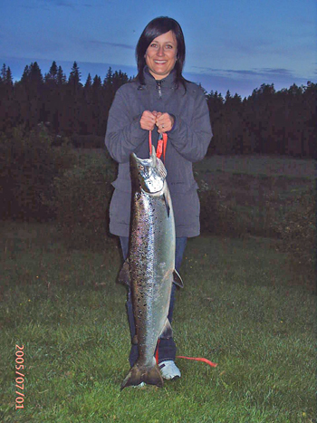 Annas lax