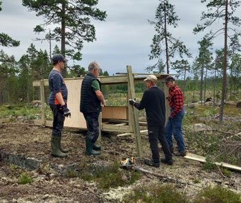 Hörneå jaktsällskapet 2023 bygger nytt torn