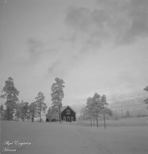 AE Vinter