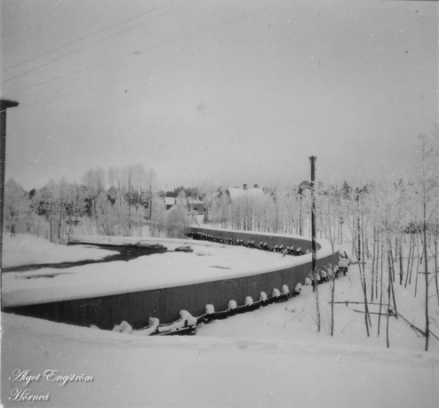 AE Vinter
