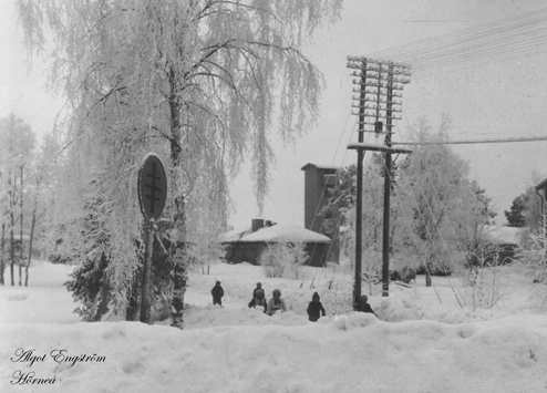 AE Vinter