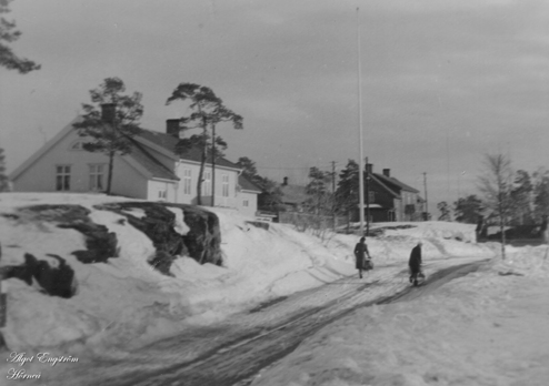 AE Vinter