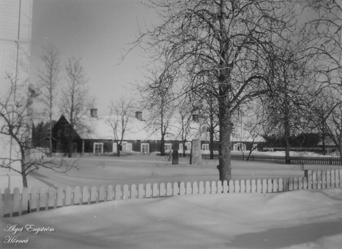 AE Vinter