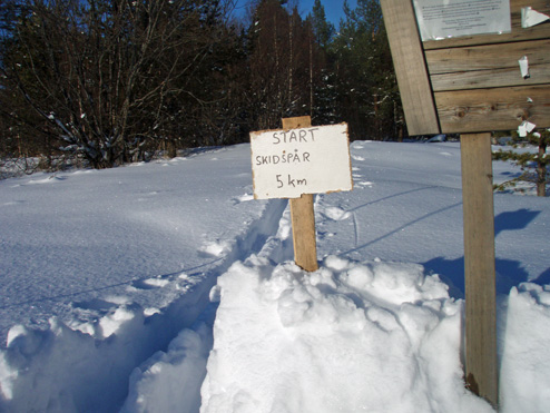Skidspår