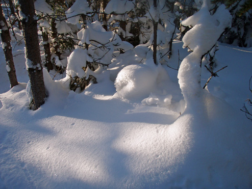 snö